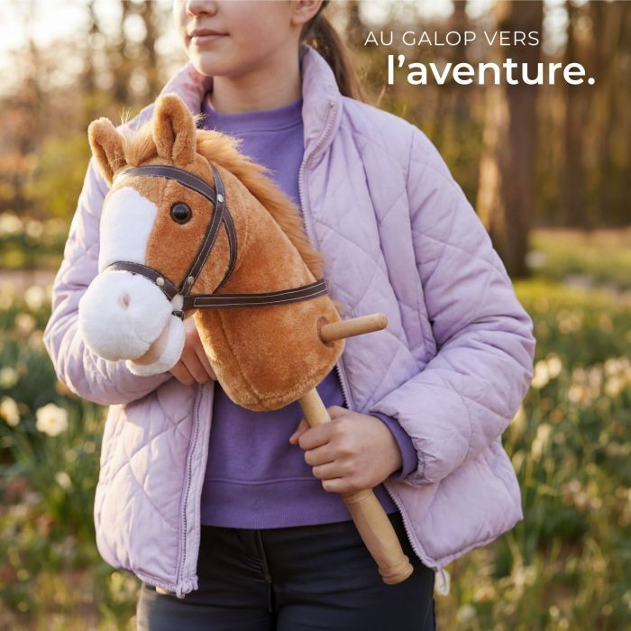 Histoire D Ours - Cheval à bascule musical avec roulettes, Livraison Gratuite 24/48h